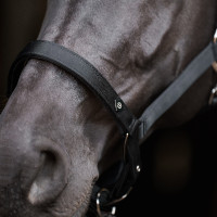 Halster Imperial Riding Rebel Ballerina Violet Halster Imperial Riding Rebel Ballerina Violet