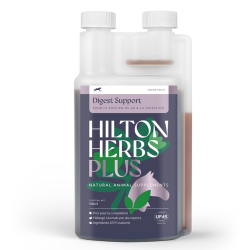 Digest support Plus Competitie Hilton Herbs Digest support Plus Competitie Hilton Herbs