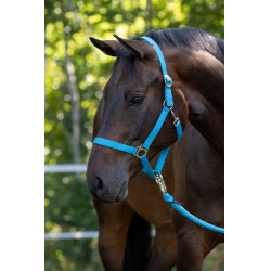 Halster Hippo Covalliero Blauw