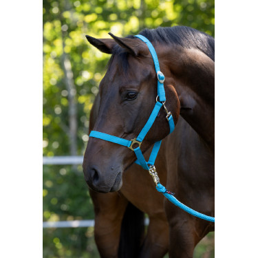Halster Hippo Covalliero Blauw