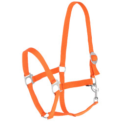 Halster Hippo Covalliero Oranje