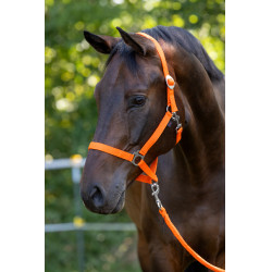 Halster Hippo Covalliero Oranje