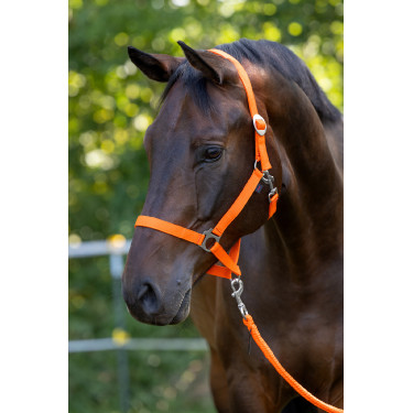 Halster Hippo Covalliero Oranje