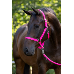 Halster Hippo Covalliero Roze