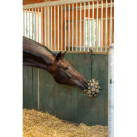 Hooi bal Flex Kerbl Groen