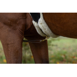 LED-borsttuig Covalliero Geel