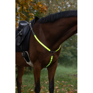 LED-borsttuig Covalliero LED-borsttuig Covalliero
