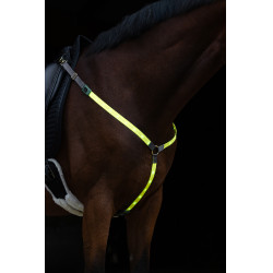 LED-borsttuig Covalliero Geel