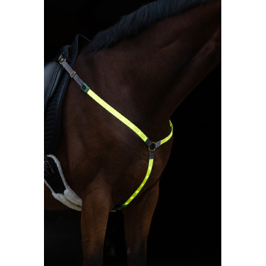 LED-borsttuig Covalliero LED-borsttuig Covalliero