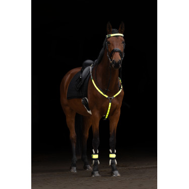 LED-borsttuig Covalliero LED-borsttuig Covalliero