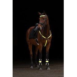 LED-borsttuig Covalliero Geel