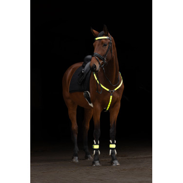 LED-borsttuig Covalliero LED-borsttuig Covalliero