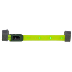 LED Frontriem Covalliero