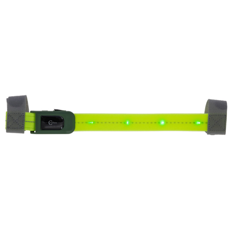 LED Frontriem Covalliero