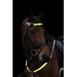 LED Frontriem Covalliero Geel LED Frontriem Covalliero Geel