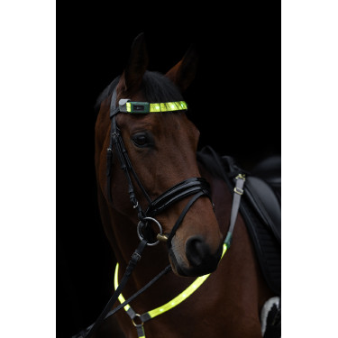 LED Frontriem Covalliero Geel LED Frontriem Covalliero Geel