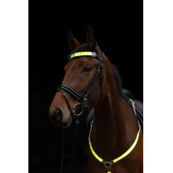 LED Frontriem Covalliero Geel LED Frontriem Covalliero Geel