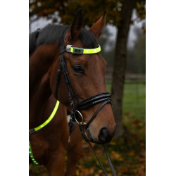 LED Frontriem Covalliero Geel LED Frontriem Covalliero Geel