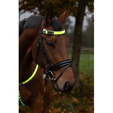 LED Frontriem Covalliero Geel LED Frontriem Covalliero Geel