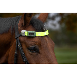 LED Frontriem Covalliero Geel LED Frontriem Covalliero Geel