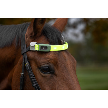 LED Frontriem Covalliero Geel LED Frontriem Covalliero Geel