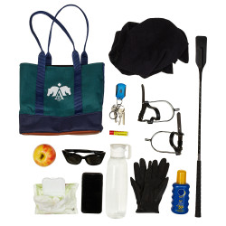 Mini tote bag Arena Groen