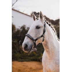 Lederen halster B Vertigo Lennox Chimera Grijs Lederen halster B Vertigo Lennox Chimera Grijs