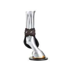 EP Kogelbeschermers Zandona Carbon Air jonge paarden Bruin EP Kogelbeschermers Zandona Carbon Air jonge paarden Bruin