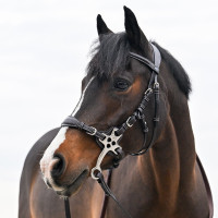 Lederen hackamore Jump'In korte en platte takken Pony Zwart Lederen hackamore Jump'In korte en platte takken Pony Zwart