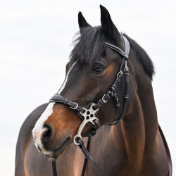 Lederen hackamore Jump'In korte en platte takken Pony Zwart Lederen hackamore Jump'In korte en platte takken Pony Zwart