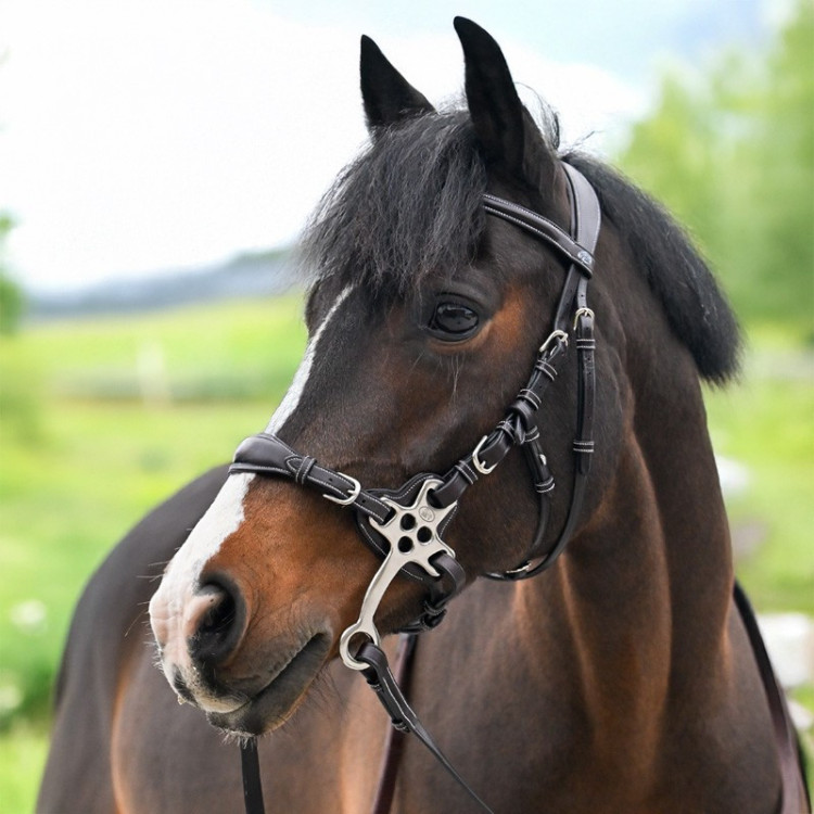 Hackamore Hoofdstel Jump'In One Premium