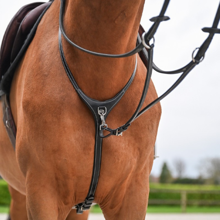 Halsband en afneembare martingaal Jump'In Collection One Premium
