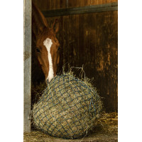 Hooinet Hippotonic Zari