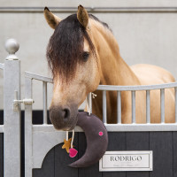 Speelgoed voor de box Imperial Riding Moony Grijs