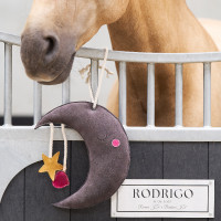 Speelgoed voor de box Imperial Riding Moony Grijs