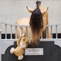 Speelgoed voor de box Imperial Riding Teddy Natuurlijk Bruin Speelgoed voor de box Imperial Riding Teddy Natuurlijk Bruin