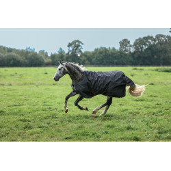 Ierse Turnout Bucas 100g