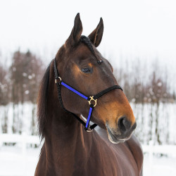HALSTER YANKEE NYLON 20 MM Zwart / blauw
