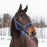 HALSTER YANKEE NYLON 20 MM Zwart / groen