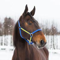 HALSTER YANKEE NYLON 20 MM Zwart / groen