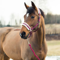 Longe Howard Crescendo Horze Zwart