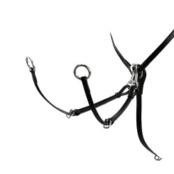 Verstelbare lederen borsttuig Equestro Zwart