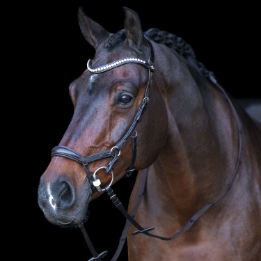 Bridon HV Polo Legacy Anatomisch deluxe