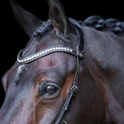 Bridon HV Polo Legacy Anatomisch deluxe Chocoladebruin