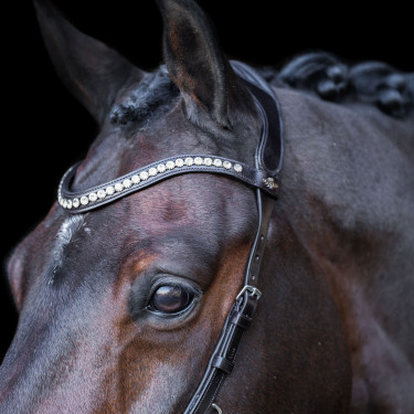 Bridon HV Polo Legacy Anatomisch deluxe Chocoladebruin