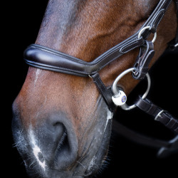 Bridon HV Polo Legacy Anatomisch deluxe Chocoladebruin