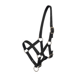 Halster veulen HV Polo Nena Zwart