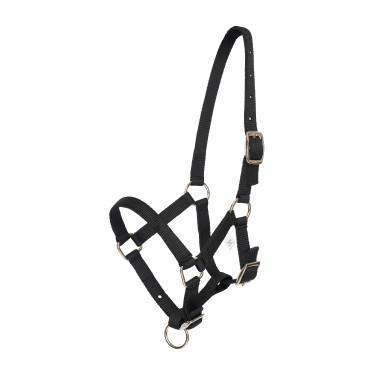 Halster veulen HV Polo Nena Zwart