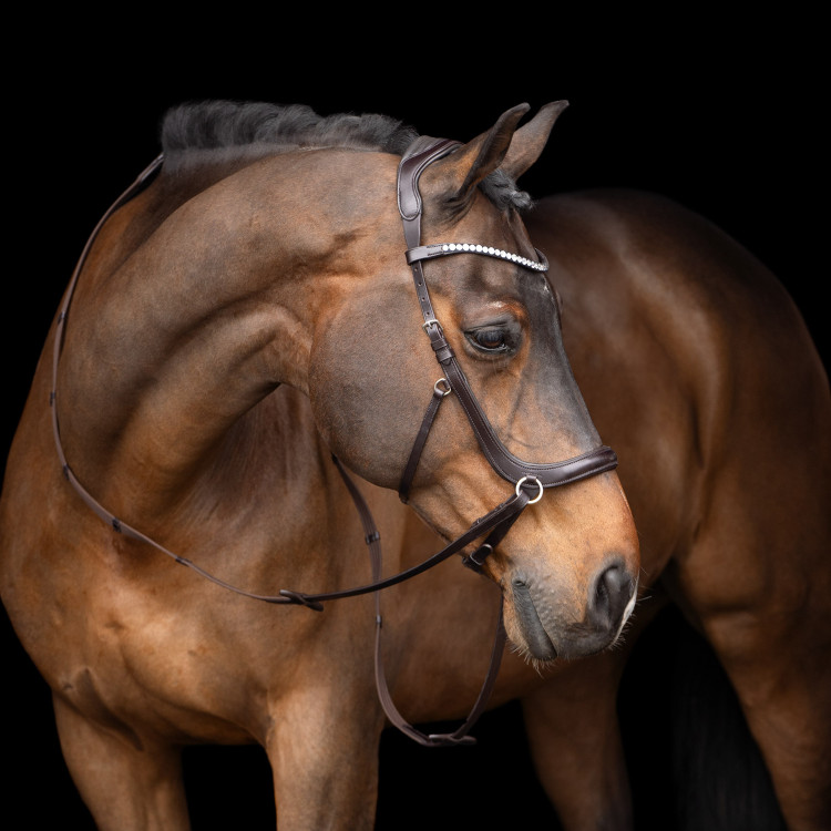 Bitloos hoofdstel HV Polo Legacy