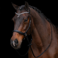 Bitloos hoofdstel HV Polo Legacy Zwart